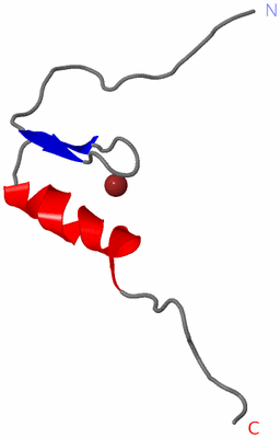 Image NMR Structure - model 1