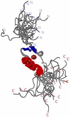 Image NMR Structure - all models