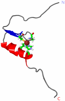 Image NMR Structure - model 1, sites