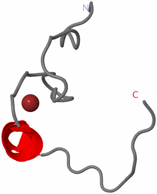 Image NMR Structure - model 1