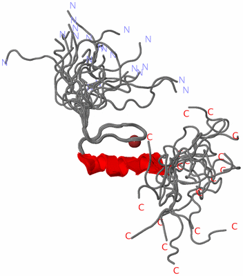 Image NMR Structure - all models