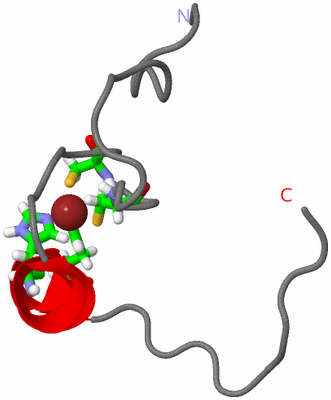 Image NMR Structure - model 1, sites