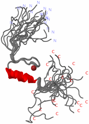 Image NMR Structure - all models