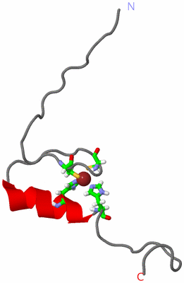 Image NMR Structure - model 1, sites