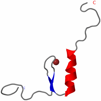 Image NMR Structure - model 1