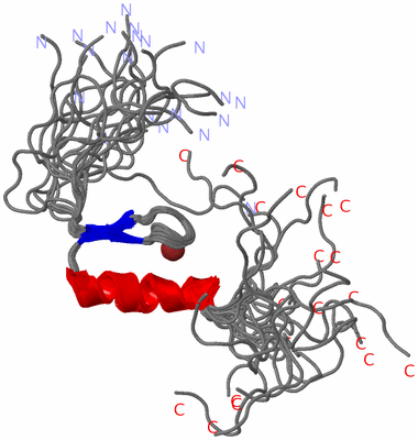 Image NMR Structure - all models