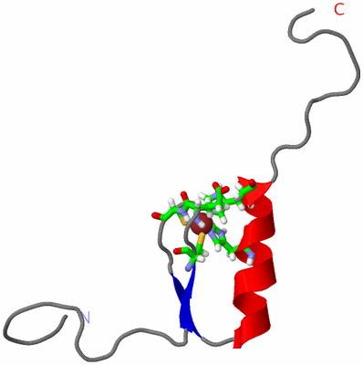 Image NMR Structure - model 1, sites