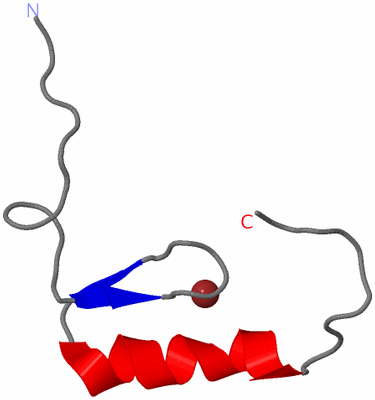 Image NMR Structure - model 1