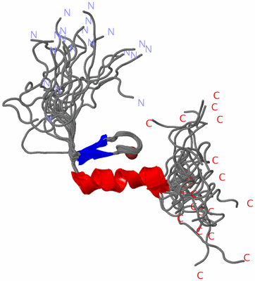 Image NMR Structure - all models