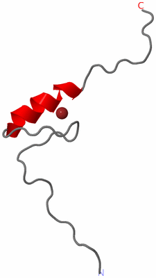 Image NMR Structure - model 1