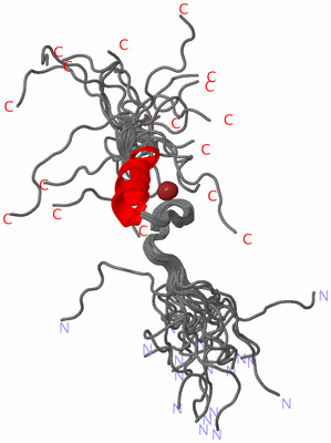 Image NMR Structure - all models