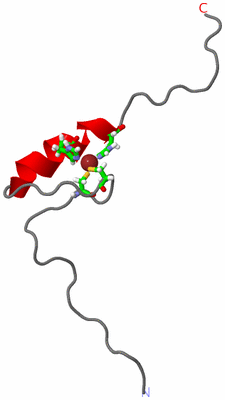 Image NMR Structure - model 1, sites