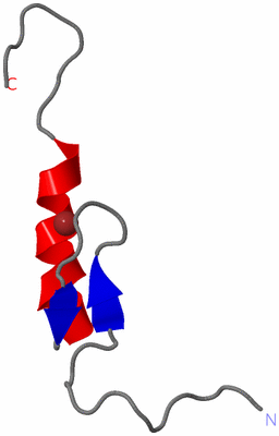 Image NMR Structure - model 1