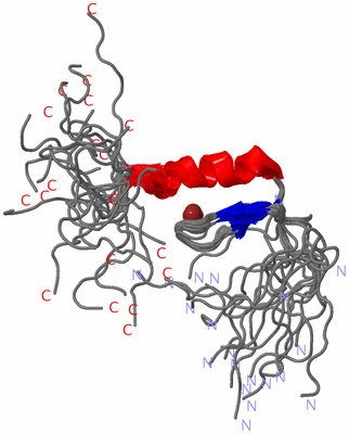 Image NMR Structure - all models