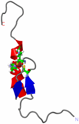 Image NMR Structure - model 1, sites