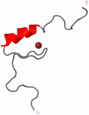 Image NMR Structure - model 1