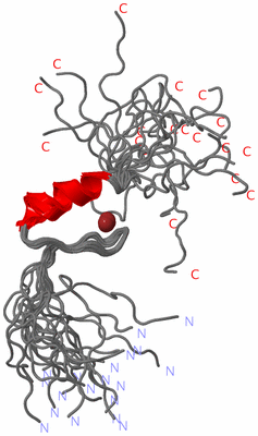 Image NMR Structure - all models