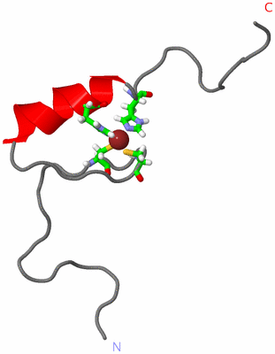 Image NMR Structure - model 1, sites