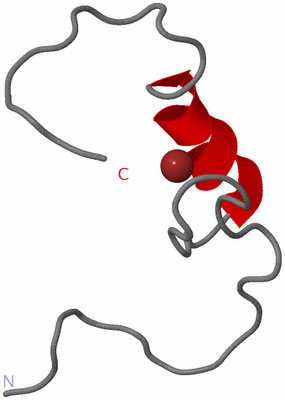 Image NMR Structure - model 1