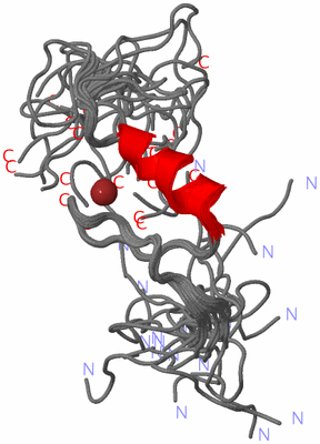 Image NMR Structure - all models