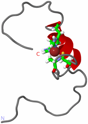 Image NMR Structure - model 1, sites