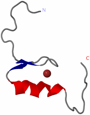 Image NMR Structure - model 1