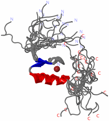 Image NMR Structure - all models