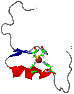 Image NMR Structure - model 1, sites