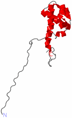 Image NMR Structure - model 1