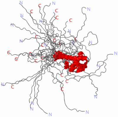 Image NMR Structure - all models