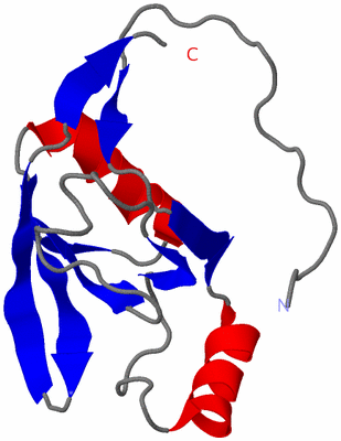 Image NMR Structure - model 1