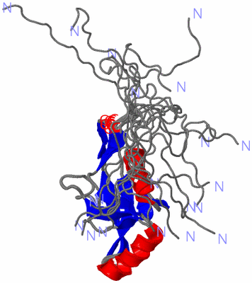 Image NMR Structure - all models