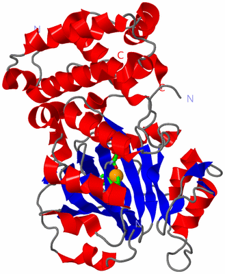 Image Asym./Biol. Unit - sites