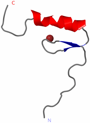 Image NMR Structure - model 1