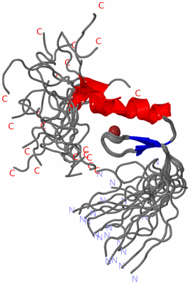 Image NMR Structure - all models