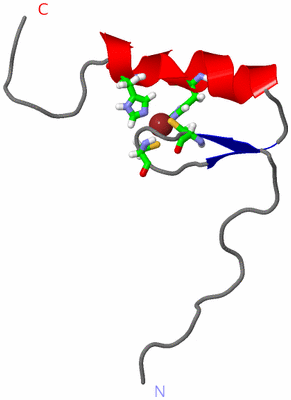 Image NMR Structure - model 1, sites