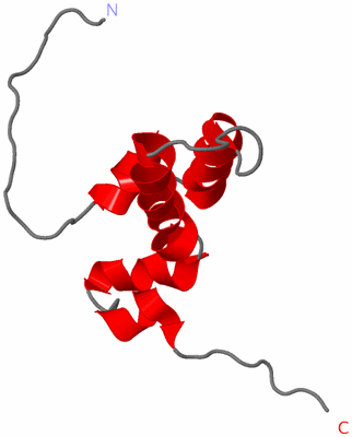 Image NMR Structure - model 1