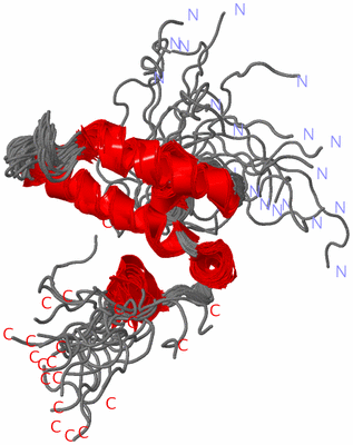 Image NMR Structure - all models