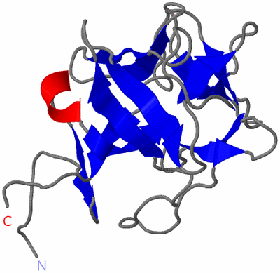 Image NMR Structure - model 1