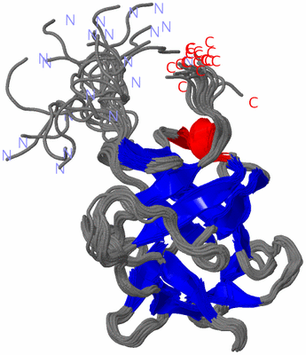 Image NMR Structure - all models