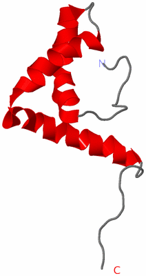 Image NMR Structure - model 1