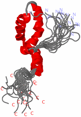Image NMR Structure - all models