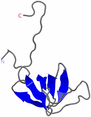 Image NMR Structure - model 1