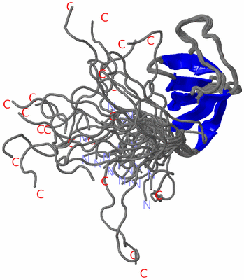 Image NMR Structure - all models