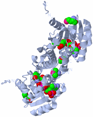 Image Biological Unit 1