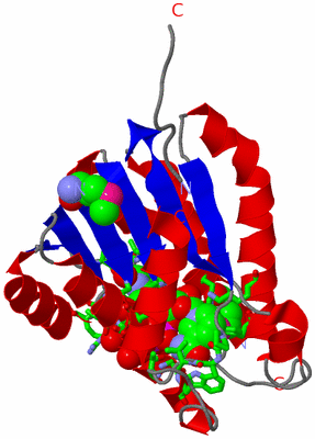 Image Asym. Unit - sites