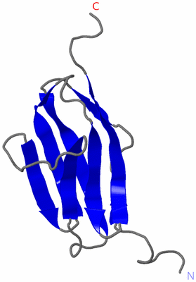 Image NMR Structure - model 1