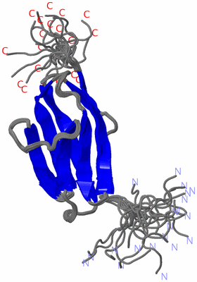 Image NMR Structure - all models