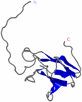 Image NMR Structure - model 1