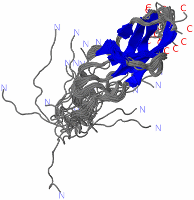 Image NMR Structure - all models